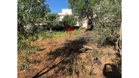 Terreno para Venda em Moncarapacho e Fuseta