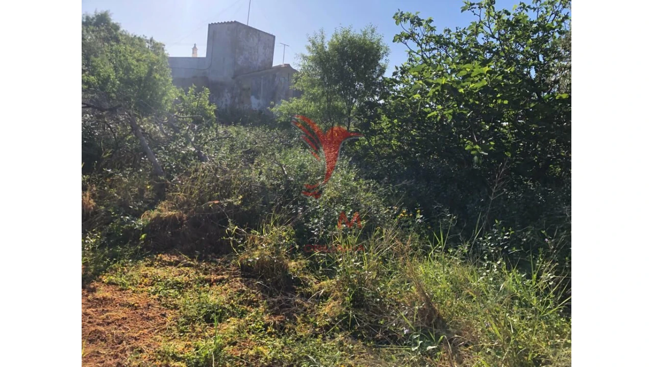 Terreno para Venda em Moncarapacho e Fuseta Foto 10