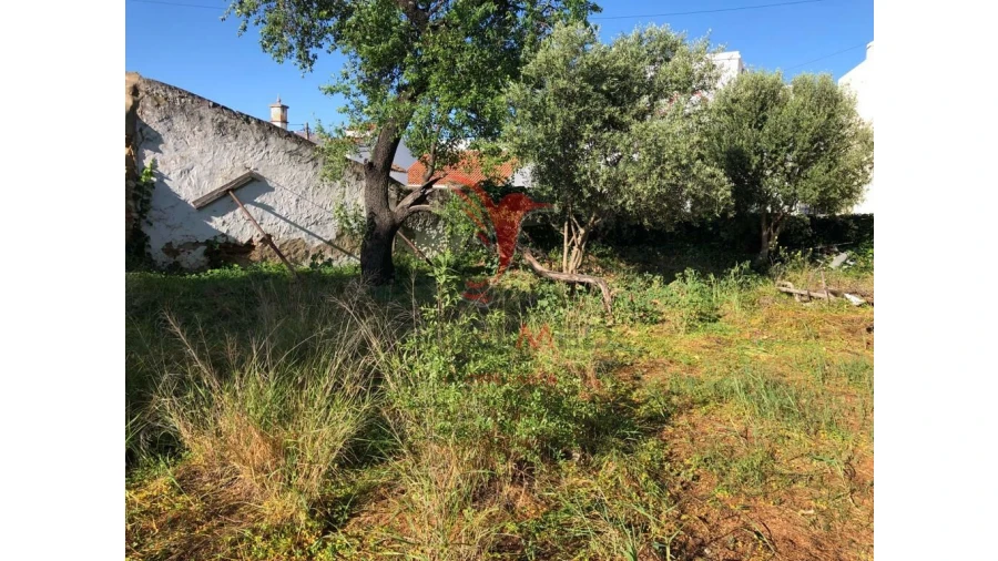 Terreno para Venda em Moncarapacho e Fuseta Foto 8