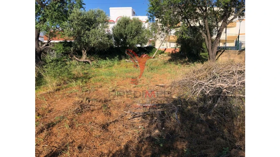 Terreno para Venda em Moncarapacho e Fuseta Foto 7