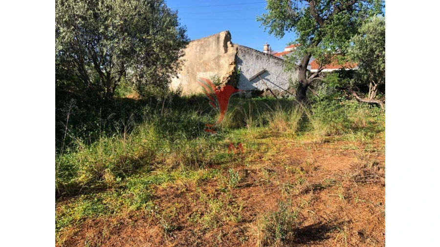 Terreno para Venda em Moncarapacho e Fuseta Foto 6