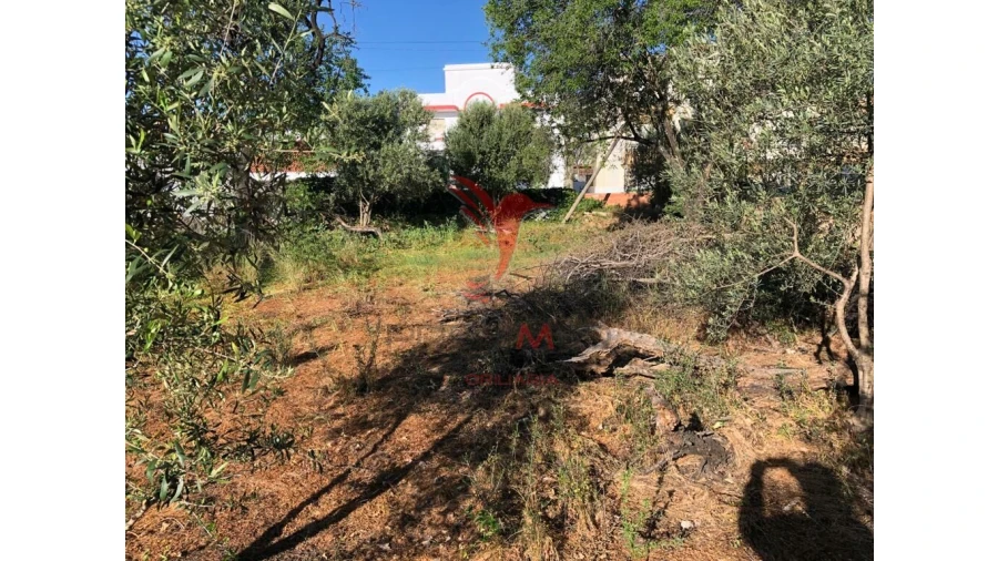 Terreno para Venda em Moncarapacho e Fuseta Foto 4