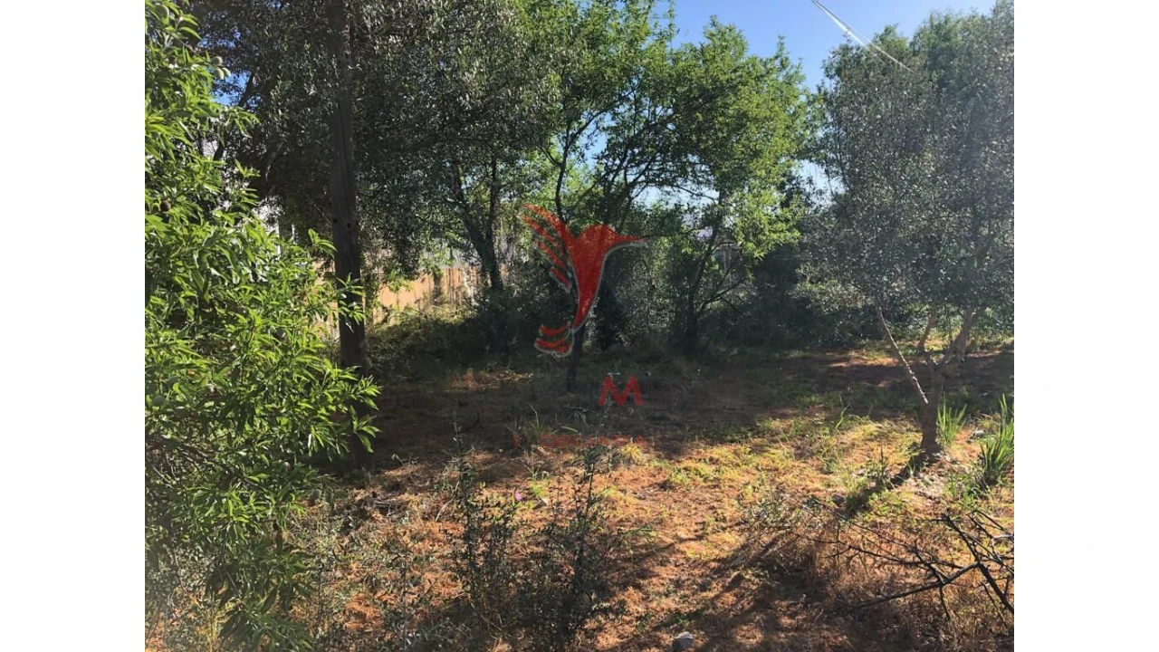 Terreno para Venda em Moncarapacho e Fuseta Foto 1