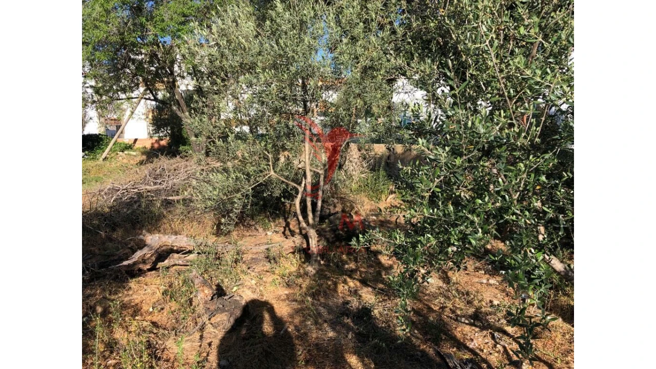Terreno para Venda em Moncarapacho e Fuseta Foto 5