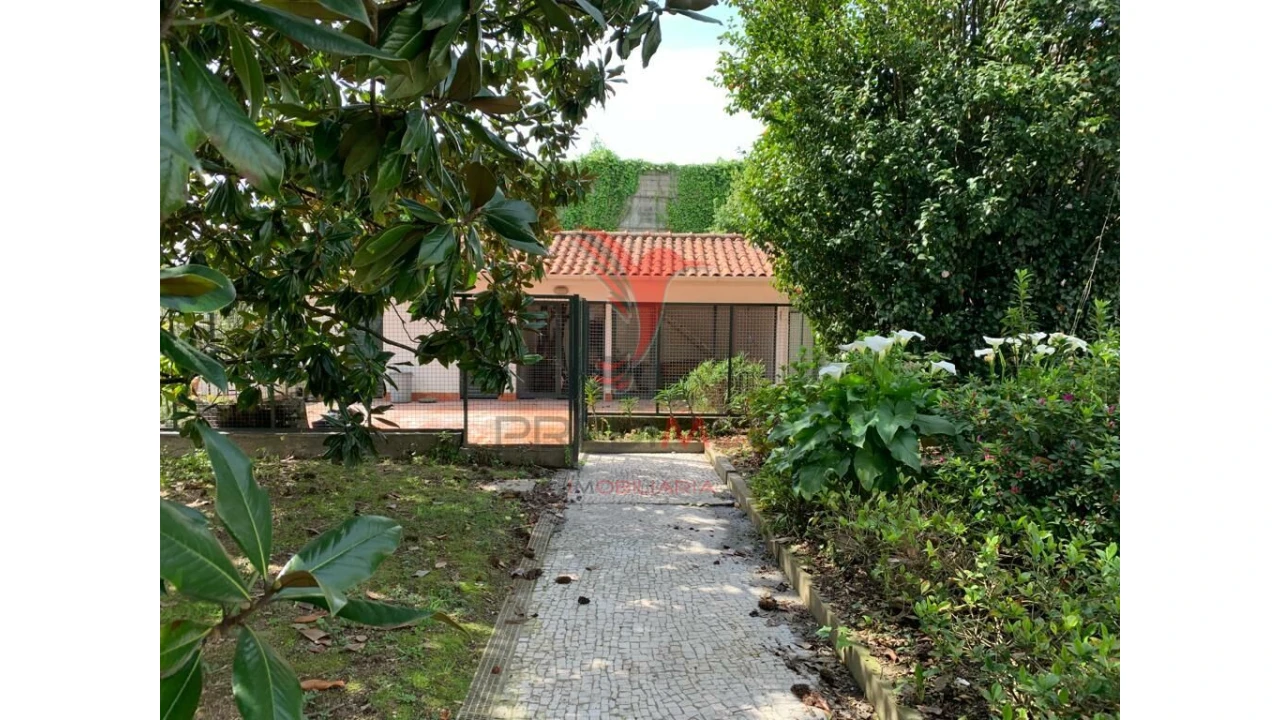 Moradia T4 para Venda em Gavião Foto 6