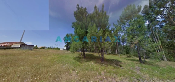 Terreno para Venda em Marinha Grande