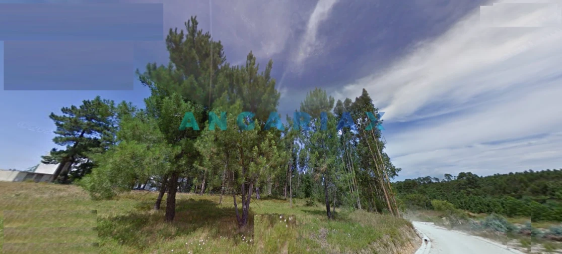 Terreno para Venda em Marinha Grande Foto 3