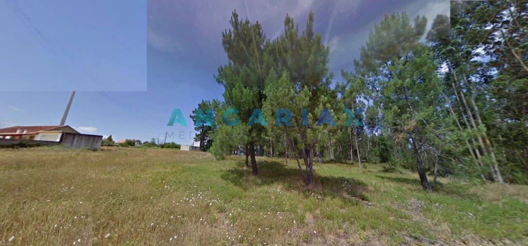 Terreno para Venda em Marinha Grande Foto 2