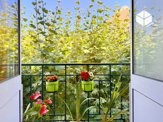 Prédio para Venda em Buarcos Foto 12