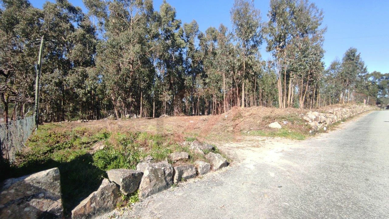 Terreno para Venda em Ferreira Foto 10