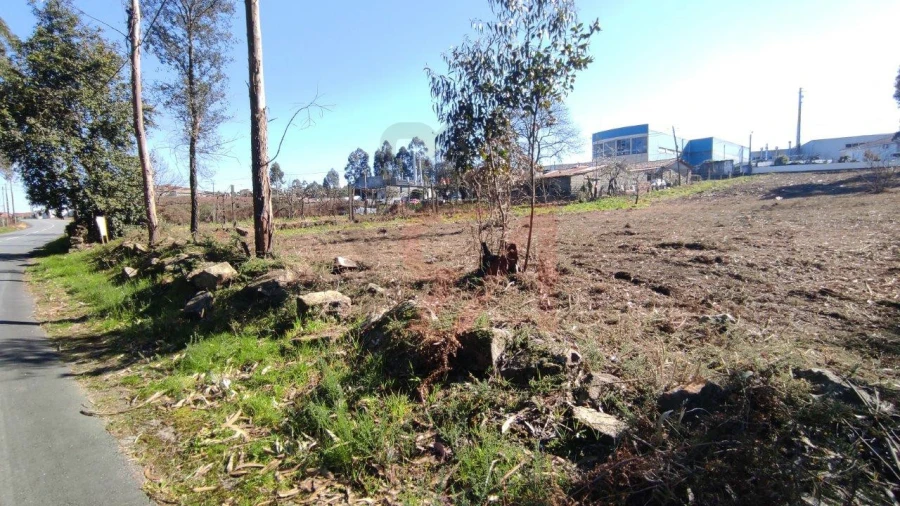 Terreno para Venda em Ferreira Foto 4