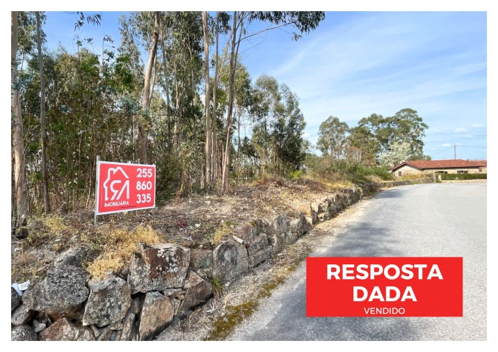 Terreno para Venda em Ferreira Foto 1