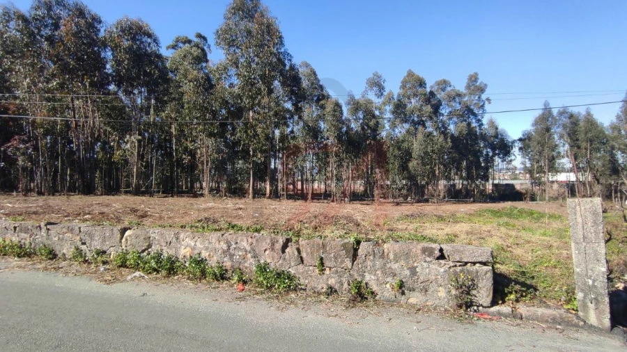 Terreno para Venda em Ferreira Foto 9