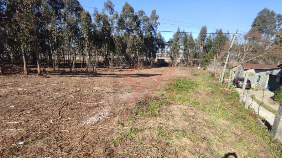 Terreno para Venda em Ferreira Foto 7