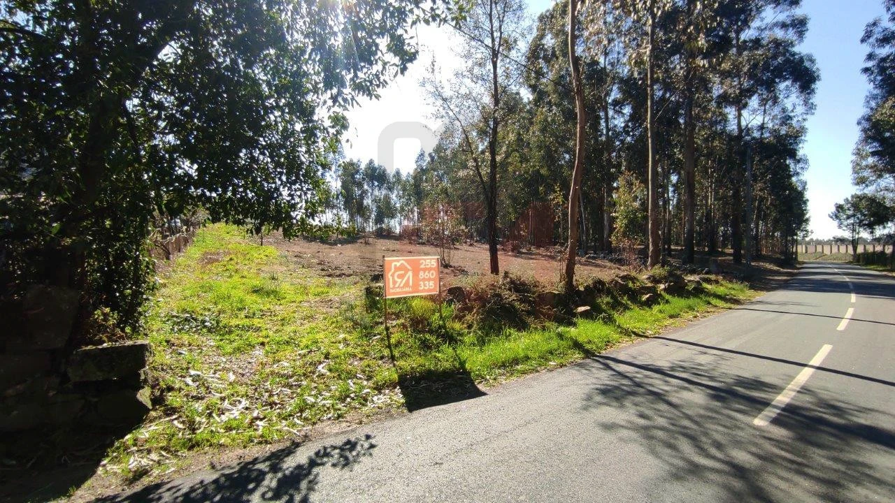 Terreno para Venda em Ferreira Foto 6