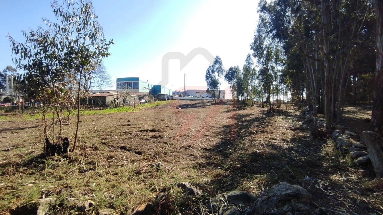 Terreno para Venda em Ferreira Foto 5