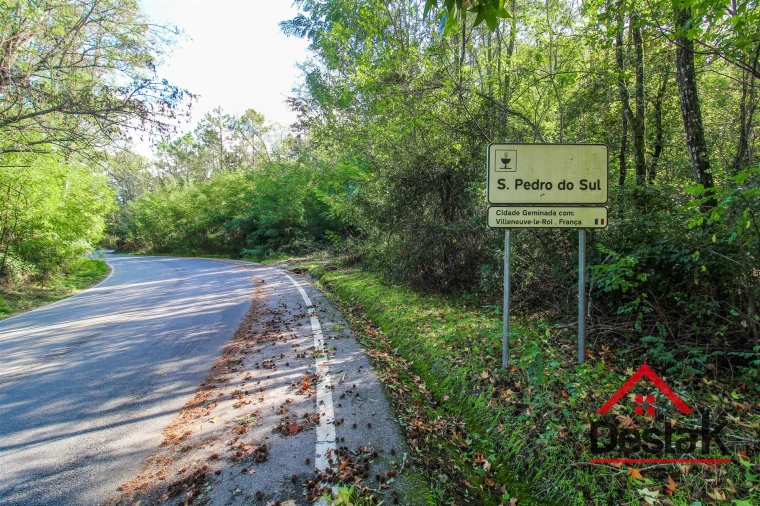 Terreno Agricola ou Rústico para Venda em São Pedro do Sul, Várzea e Baiões Foto 2