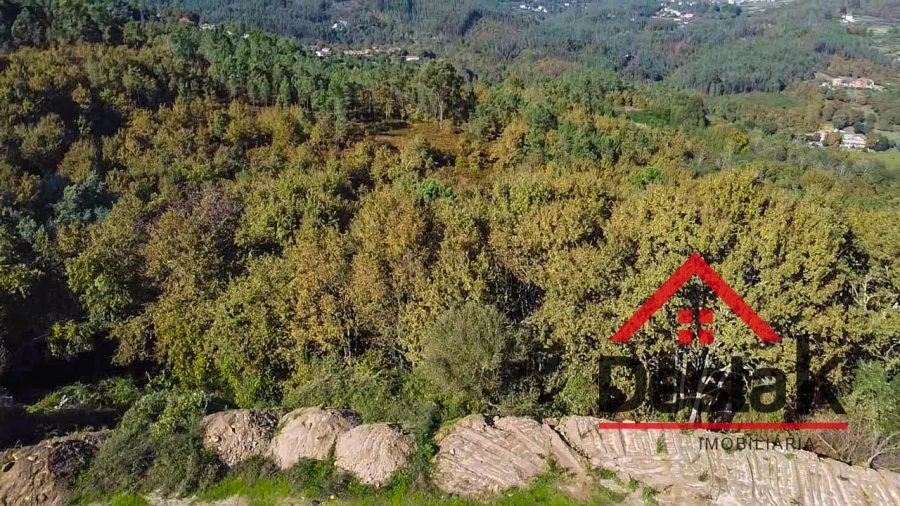 Terreno Agricola ou Rústico para Venda em São Pedro do Sul, Várzea e Baiões Foto 5