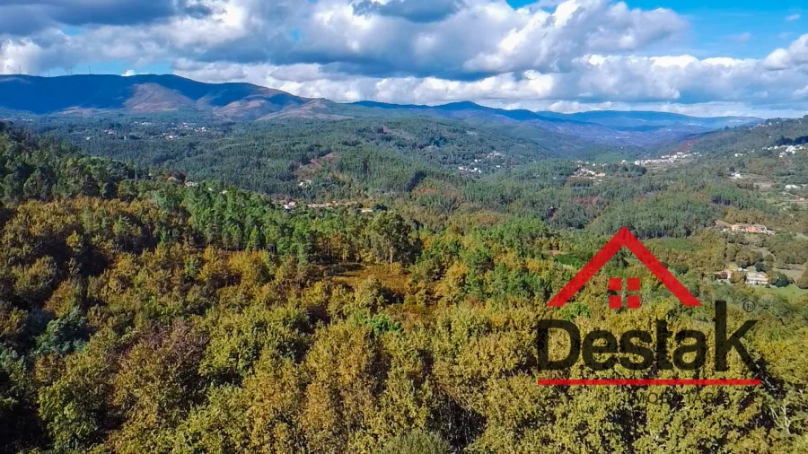 Terreno Agricola ou Rústico para Venda em São Pedro do Sul, Várzea e Baiões Foto 4