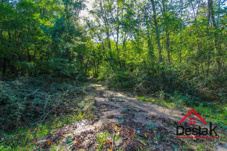 Terreno Agricola ou Rústico para Venda em São Pedro do Sul, Várzea e Baiões Foto 7