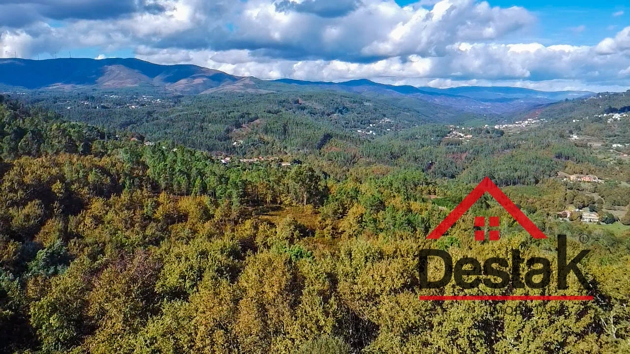 Terreno Agricola ou Rústico para Venda em São Pedro do Sul, Várzea e Baiões Foto 4