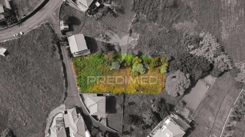 Terreno para Venda em Santana