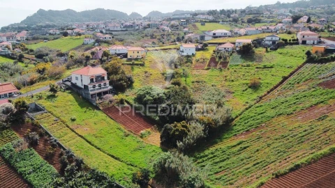 Terreno para Venda em Santana
