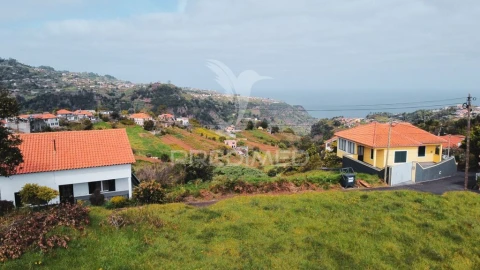 Terreno para Venda em Santana