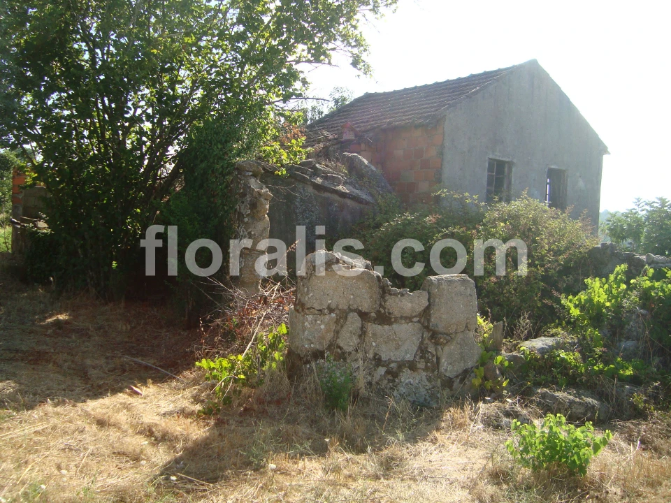 Terreno para Venda em Povolide Foto 12