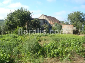 Terreno para Venda em Povolide