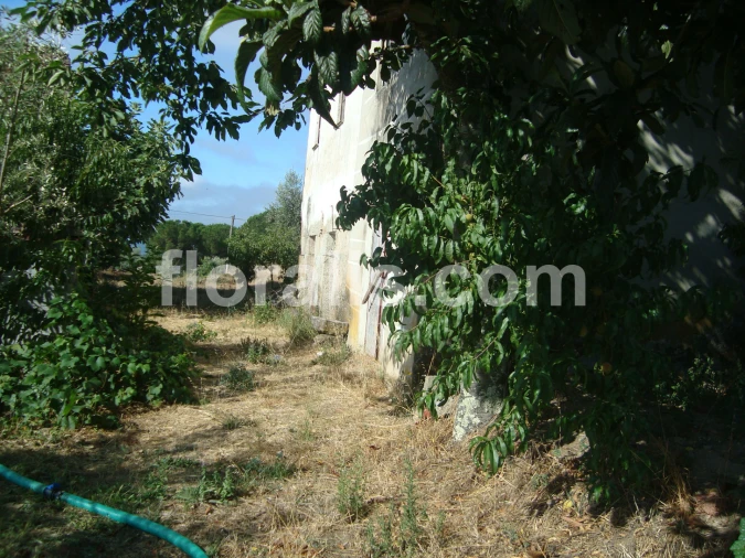 Terreno para Venda em Povolide Foto 8