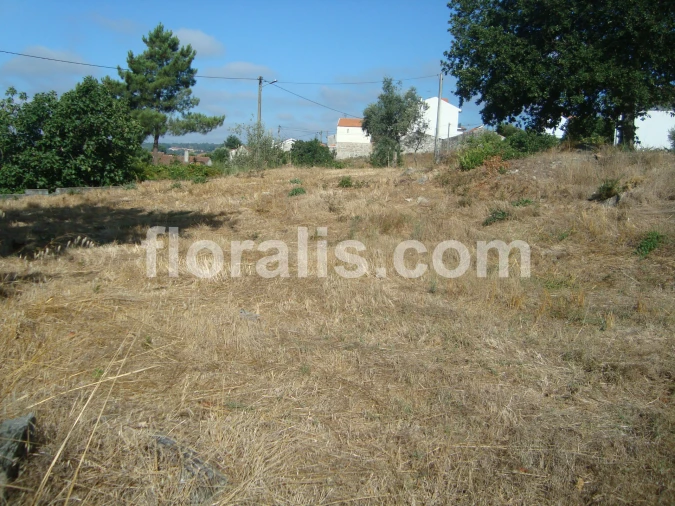 Terreno para Venda em Povolide Foto 10