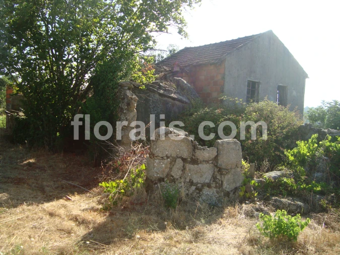 Terreno para Venda em Povolide Foto 12