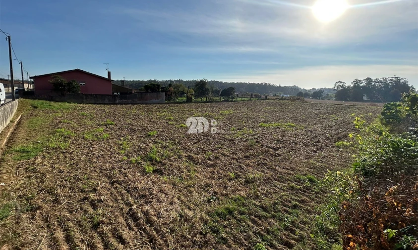 Terreno para Venda em Vilar e Mosteiró Foto 6