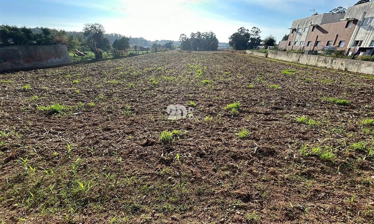 Terreno para Venda em Vilar e Mosteiró Foto 7