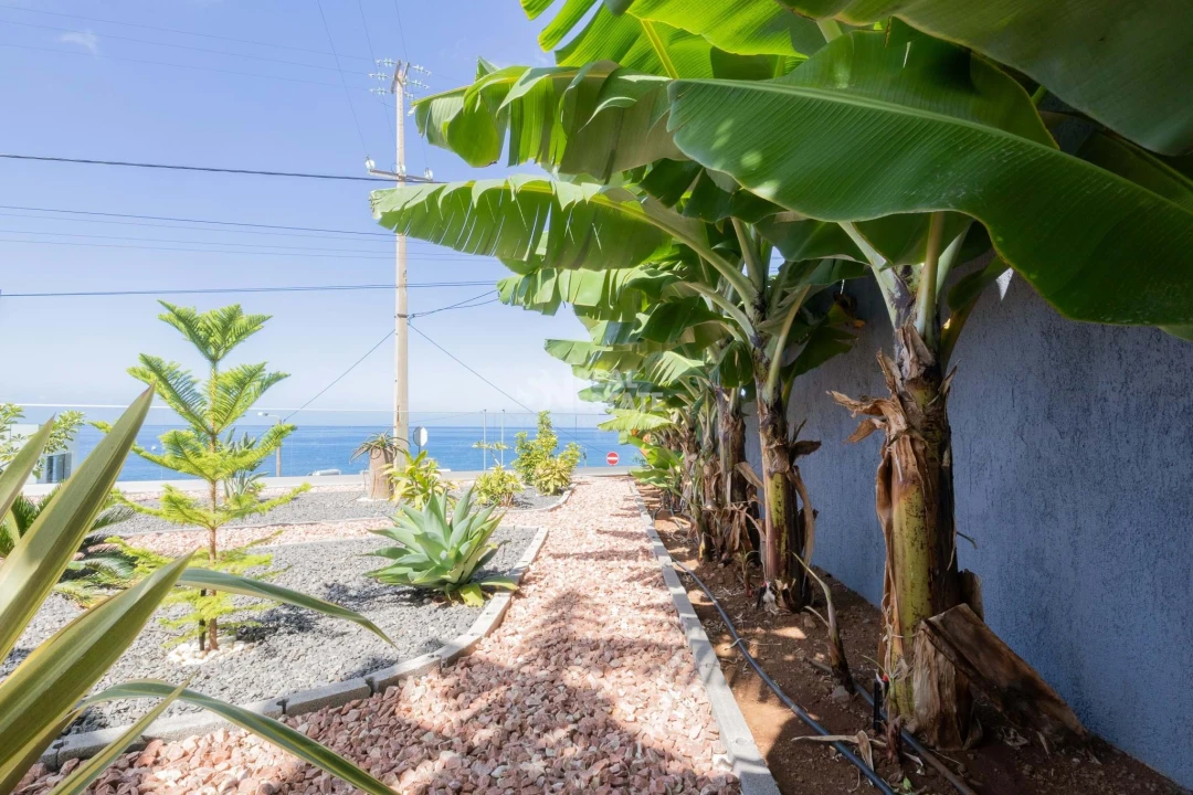 Moradia T4 para Venda em Paul do Mar Foto 25