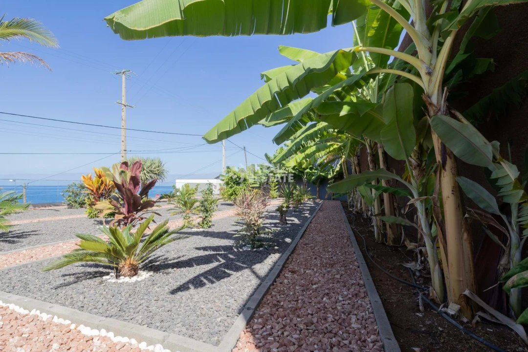 Moradia T4 para Venda em Paul do Mar Foto 30