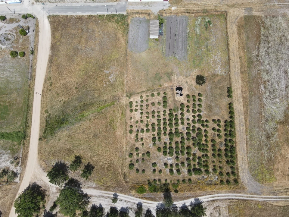 Quinta T0 para Venda em Torrão Foto 18