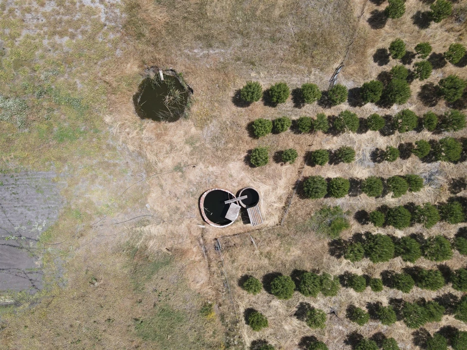 Quinta T0 para Venda em Torrão Foto 10