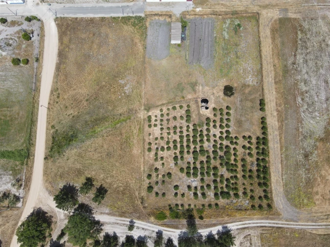 Quinta T0 para Venda em Torrão Foto 18