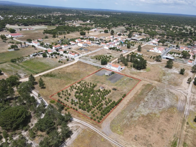 Quinta T0 para Venda em Torrão Foto 3