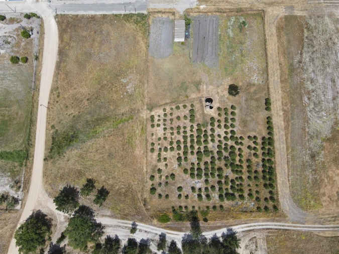 Quinta T0 para Venda em Torrão Foto 8