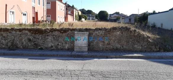 Terreno para Venda em Monte Real e Carvide