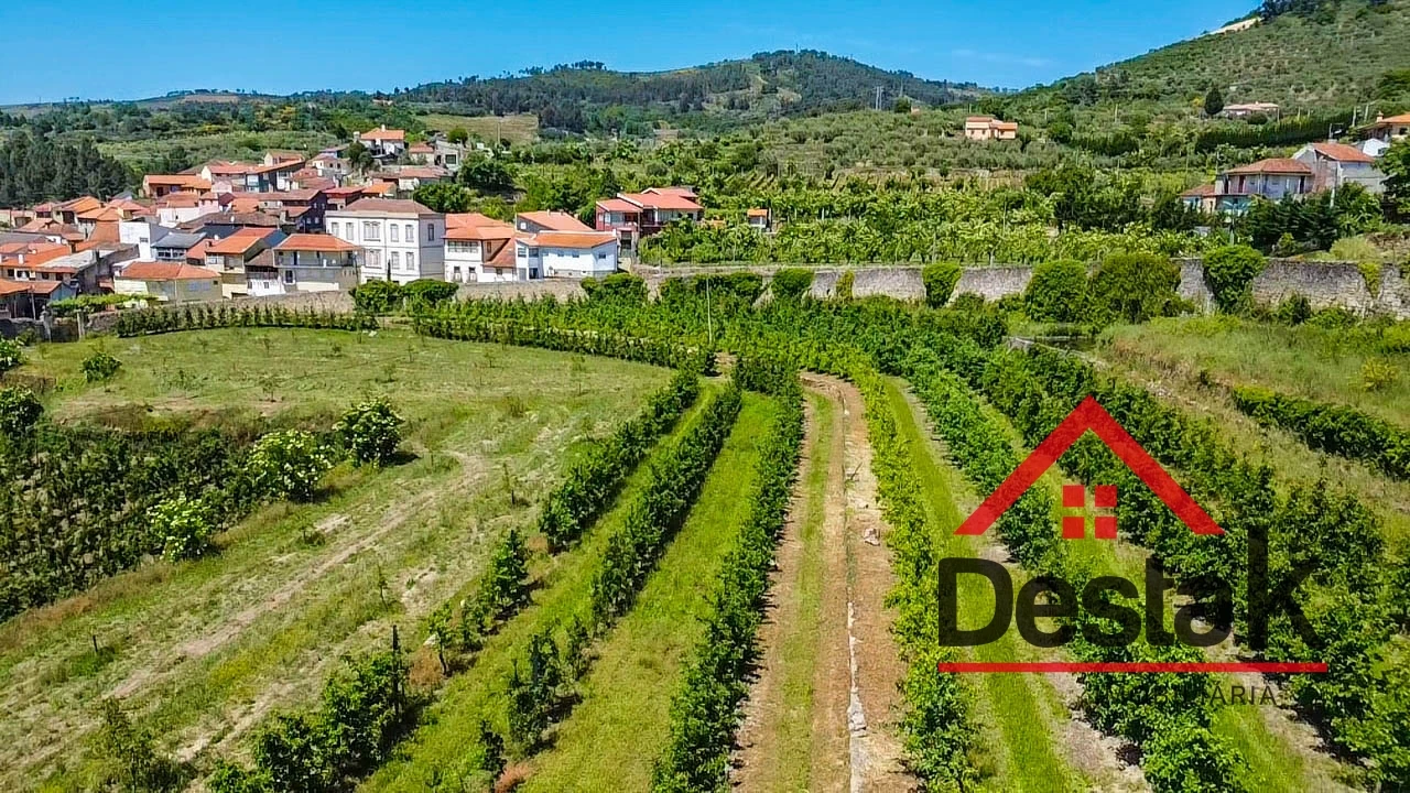 Quinta T6 para Venda em Salzedas Foto 66