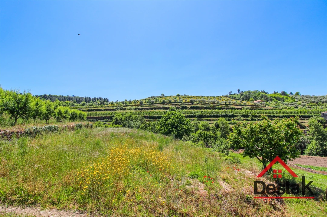 Quinta T6 para Venda em Salzedas Foto 14