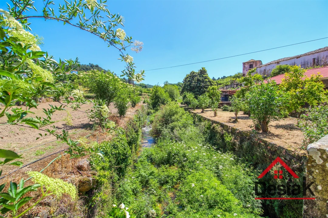 Quinta T6 para Venda em Salzedas Foto 5