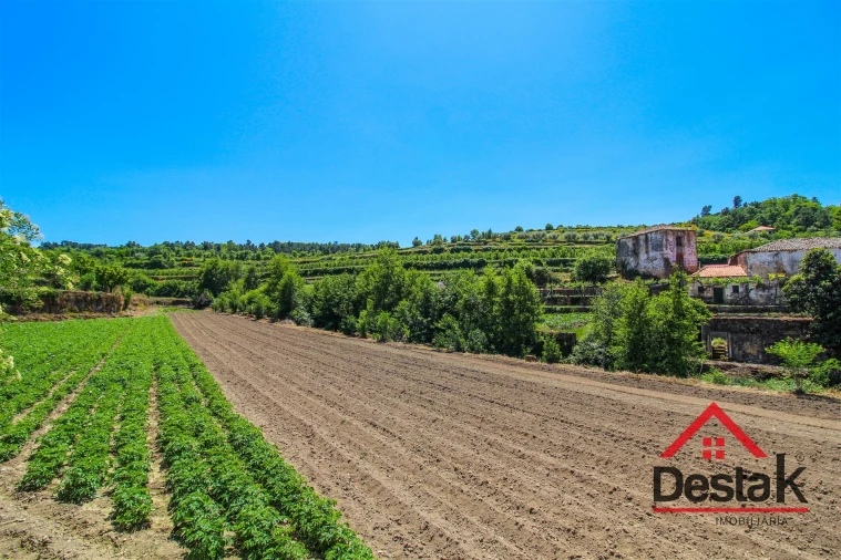 Quinta T6 para Venda em Salzedas Foto 56