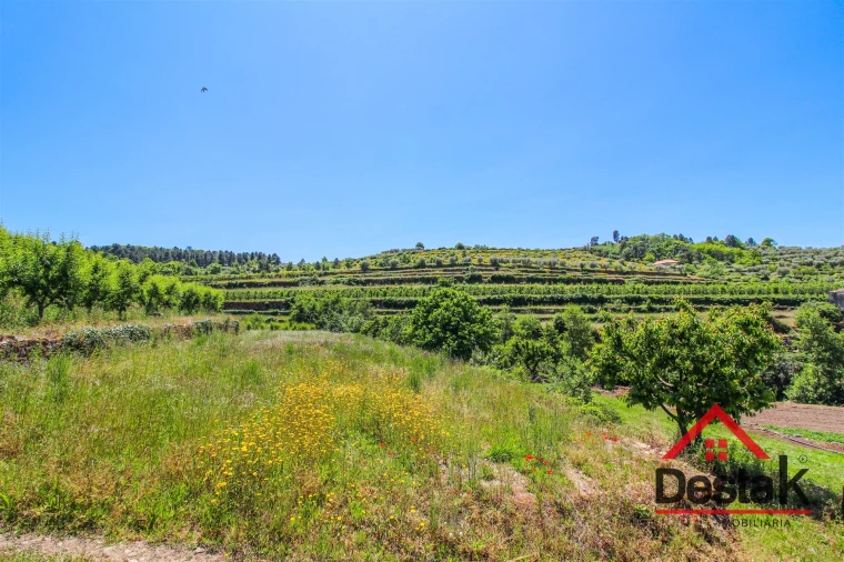 Quinta T6 para Venda em Salzedas Foto 14