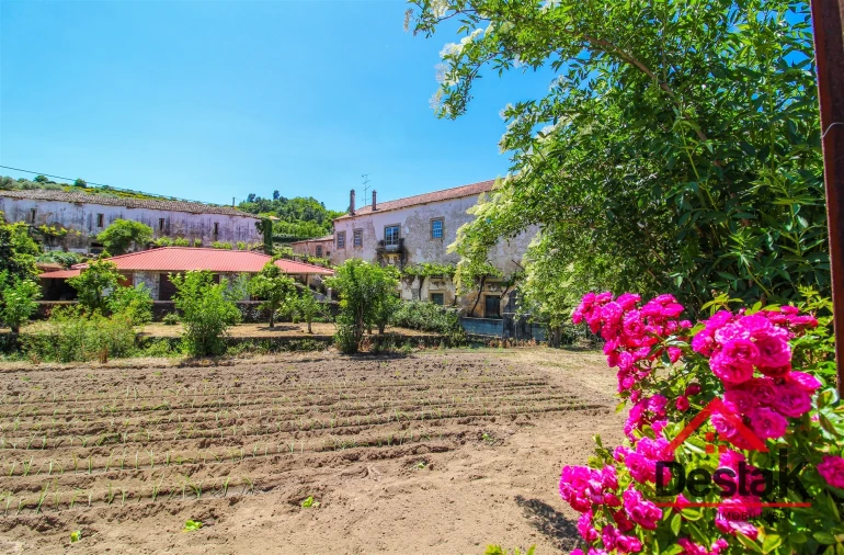 Quinta T6 para Venda em Salzedas Foto 54