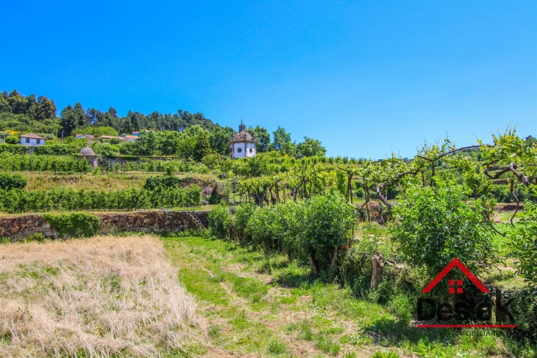 Quinta T6 para Venda em Salzedas Foto 9